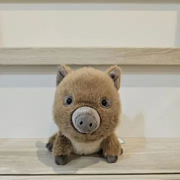제리 캣 멧돼지 Swinley Boar