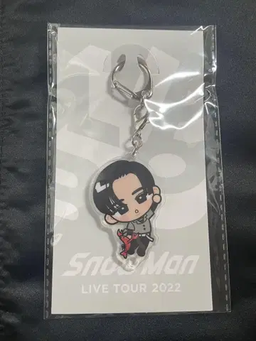 Snow Man LIVE TOUR 2022 키링