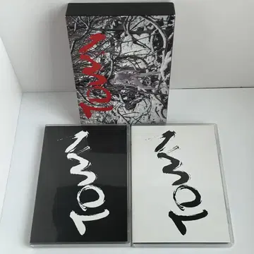 TOWN(초회 한정판) 2CD+DVDBOX 기요시 류진