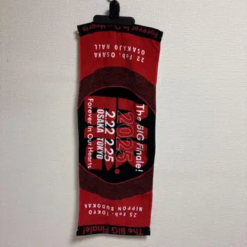 MR.BIG 2025년 빅 피날레 투어 타월