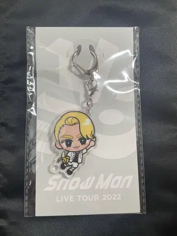 Snow Man LIVE TOUR 2022 키링