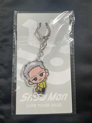 Snow Man LIVE TOUR 2022 키링
