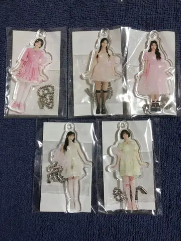 KARASIA 아크릴 참 5종 세트