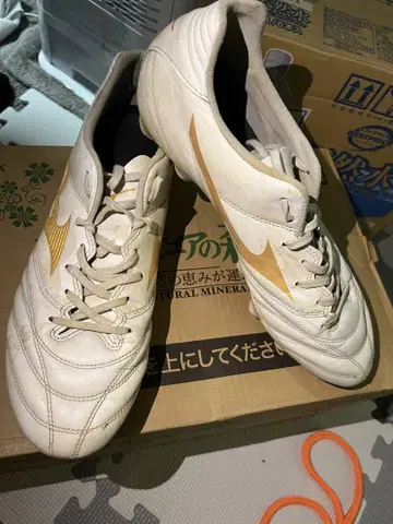 모나르시다 네오 2 화이트 골드
