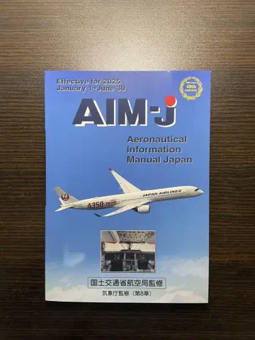 2025년 상반기 AIM-J