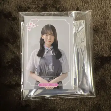 사쿠라자카 카페 랜덤 마그넷 무라야마 미우