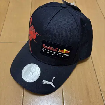 레드불 F1 캡