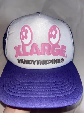 XLARGE VANDYTHEPINK 캡