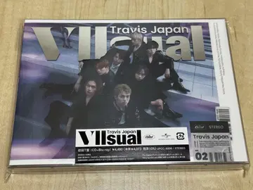 VIIsual 첫 번째 T판