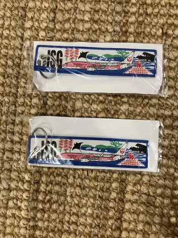 JAL 플라이트 택 신이시가키 공항 2개 세트