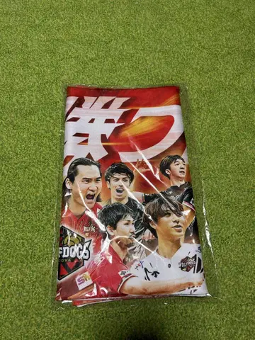 울프독스 나고야 24-25 반드시 이길 것이다!! 타월