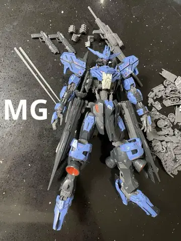 건담 프라모델 mg 비다르