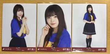 모리 헤이코 브로마이드 홋카이도 라이브 티셔츠 컴프