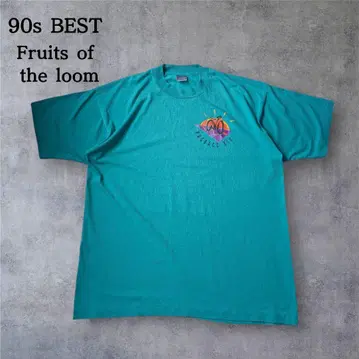 90s BEST FRUITS OF THE LOOM 터콰이즈 멕시코제