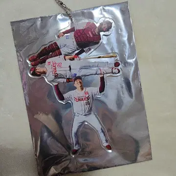 라쿠텐 아크링 키링 가라폰 3등