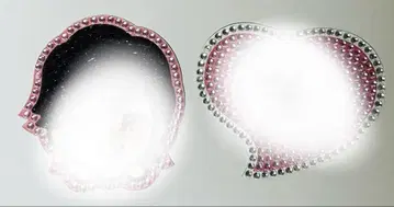 나니와단시 미치에다 슌스케