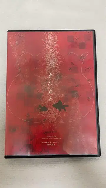 크로지 킨토토