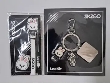 StrayKids scars 솔릭 키링 Lee 비트