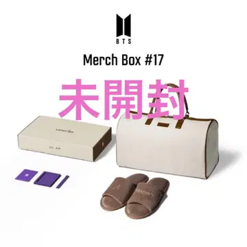 BTS MERCH BOX #17 V 테테 태현