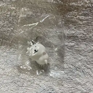 농담곰 춤추는 곰 공 체인 나가노