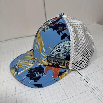 Patagonia 캡 모자