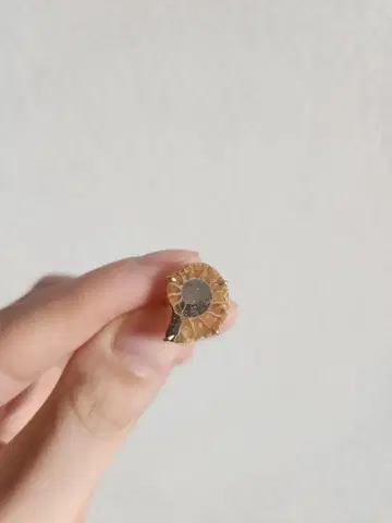 아르티다우드 [ancient] 암모나이트 L 이어 커프