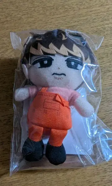 Snow Man 스노우 칠 봉제 인형 무카이 코지