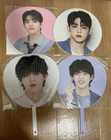 세븐틴 에스크 부채