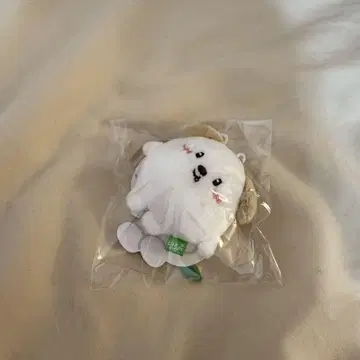 RIIZE 앤톤 미니 인형 키 링크