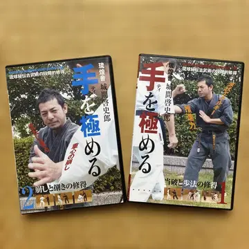 손을 마스터하는 DVD 2권 세트