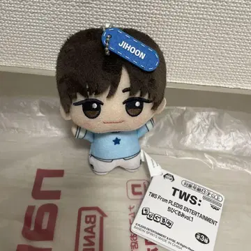 TWS From PLEDIS ENTERTAINMENT SD 인형 지훈