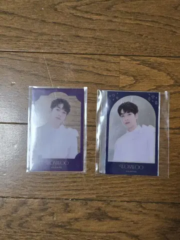 세븐틴 뮤지엄 원우