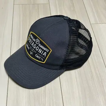 Patagonia 메쉬 캡 프리