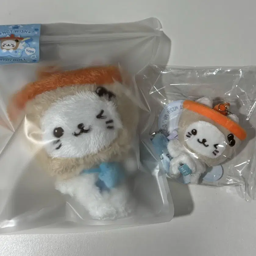 NCT | 엔시티 Nct Wish Yuushi Bubble Cat Wishdoll Minidol