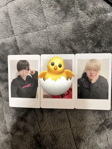 나기사 코우타 사사- 6월과 아 하피카