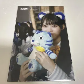 내가 보고 싶었던 파란 하늘 나 파랑 CHINTAI 엽서 가나자와 아미