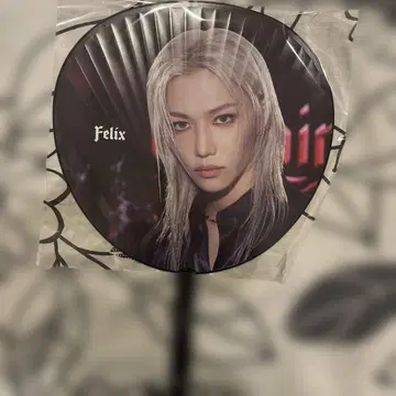 Stray Kids Felix 부채 domiN World Tour