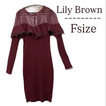 LilyBrown 릴리 브라운 버건디 니트 원피스 드레스