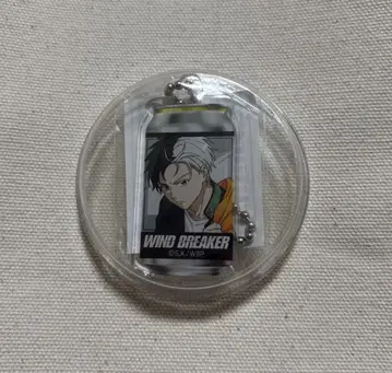 WIND BREAKER 벚꽃 하야 산토리 아크링 키링