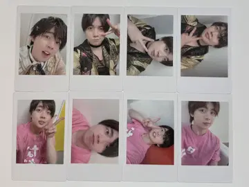 팬더 드래곤 나기 하피카 8장