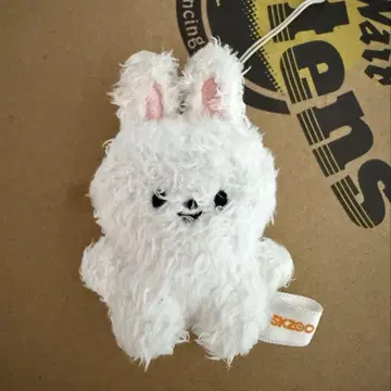 straykids skzoo 펜미 마이크로 키링 Lee 비트