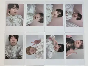 팬더 드래곤 나기 하피카 8매 세트