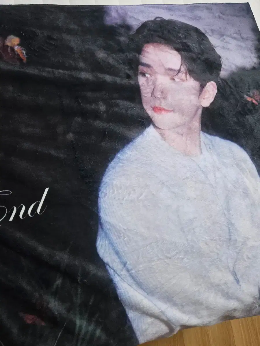 Seventeen joshua Photo Blanket Cafe pre-order benefit s.coups han wonwoo mingyu poca doll