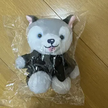 노킹 온 락 도어 도리견 마쓰무라 호쿠토