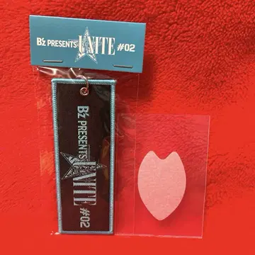 B'z PRESENTS UNITE #02 플라이트 택