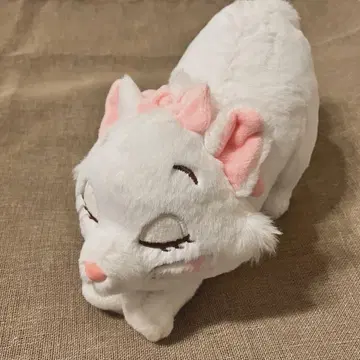 마리 세련된 고양이 봉제 인형 노비