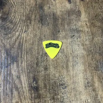 GLIM SPANKY 그리 스팬키 피크