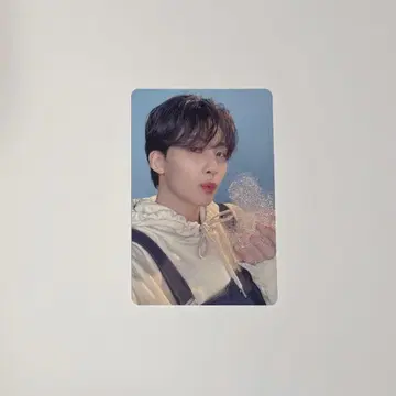 DREAM 정한 카라트판