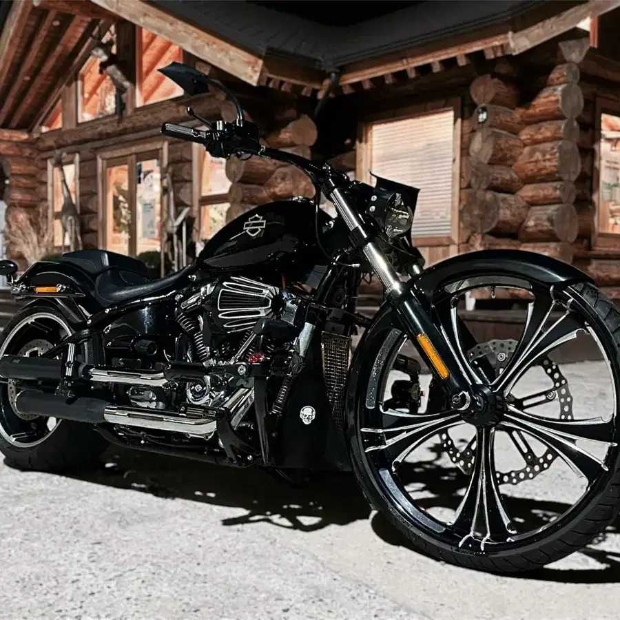 브레이크 아웃 (94) 사진