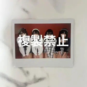 큐루시테 폴라로이드